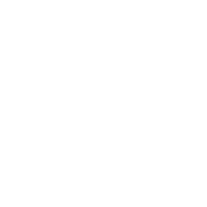 JD Sports Microsoft Project Online Case Study - Wellingtone PPM